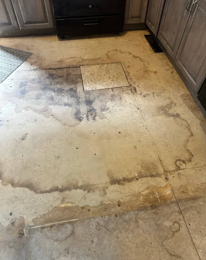 Subfloor with water damage